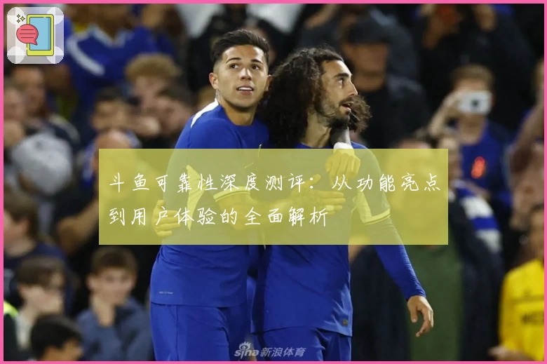 斗鱼可靠性深度测评：从功能亮点到用户体验的全面解析