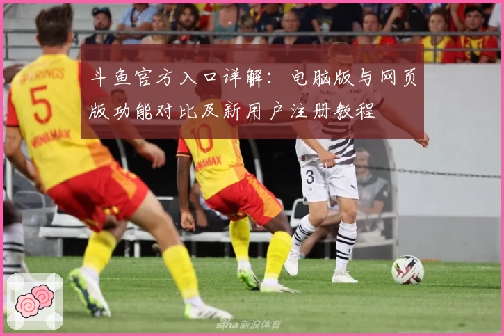斗鱼官方入口详解：电脑版与网页版功能对比及新用户注册教程