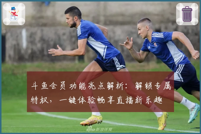 斗鱼会员功能亮点解析:解锁专属特权,一键体验畅享直播新乐趣