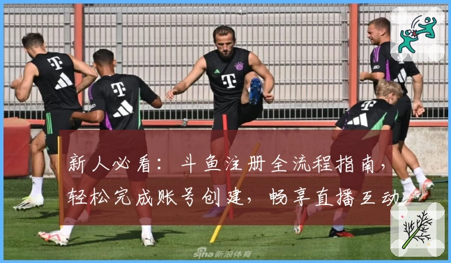 新人必看：斗鱼注册全流程指南，轻松完成账号创建，畅享直播互动乐趣