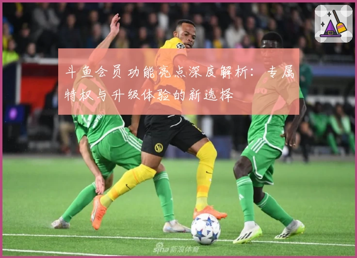 斗鱼会员功能亮点深度解析：专属特权与升级体验的新选择