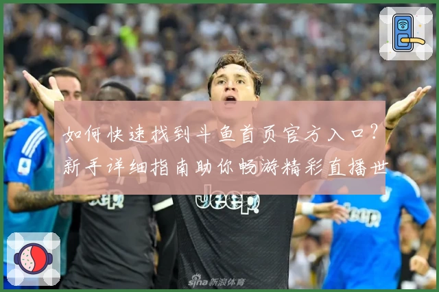 如何快速找到斗鱼首页官方入口？新手详细指南助你畅游精彩直播世界