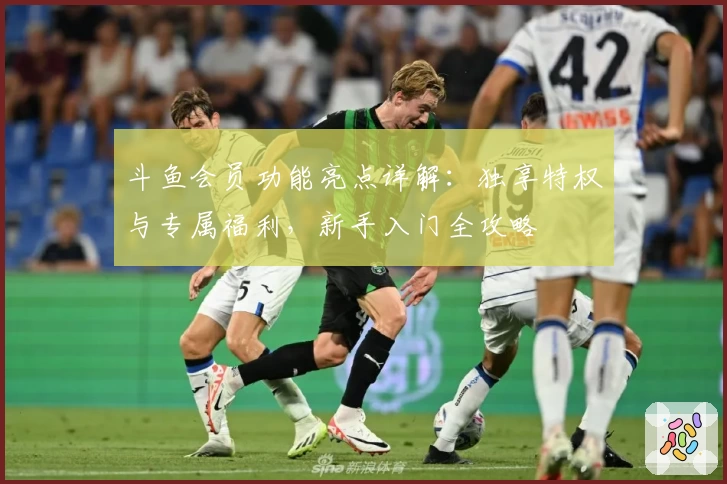 斗鱼会员功能亮点详解：独享特权与专属福利，新手入门全攻略