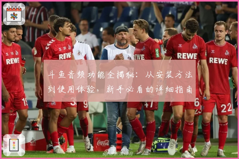 斗鱼音频功能全揭秘:从安装方法到使用体验,新手必看的详细指南