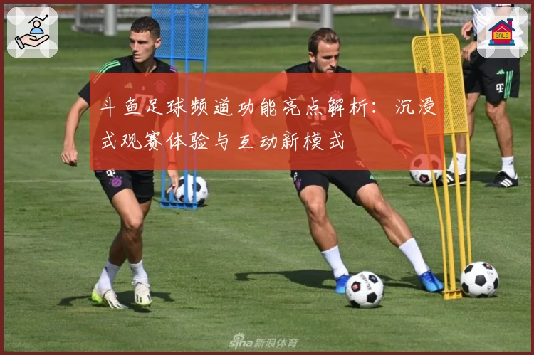 斗鱼足球频道功能亮点解析：沉浸式观赛体验与互动新模式