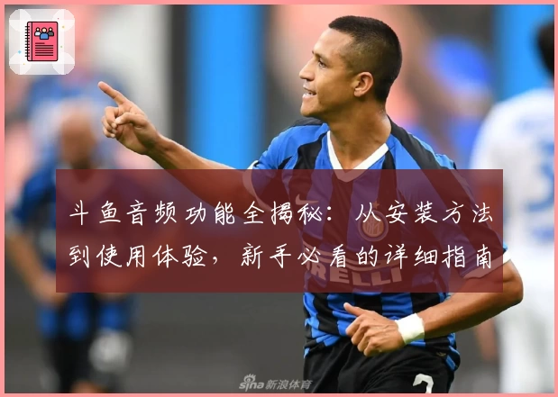 斗鱼音频功能全揭秘：从安装方法到使用体验，新手必看的详细指南