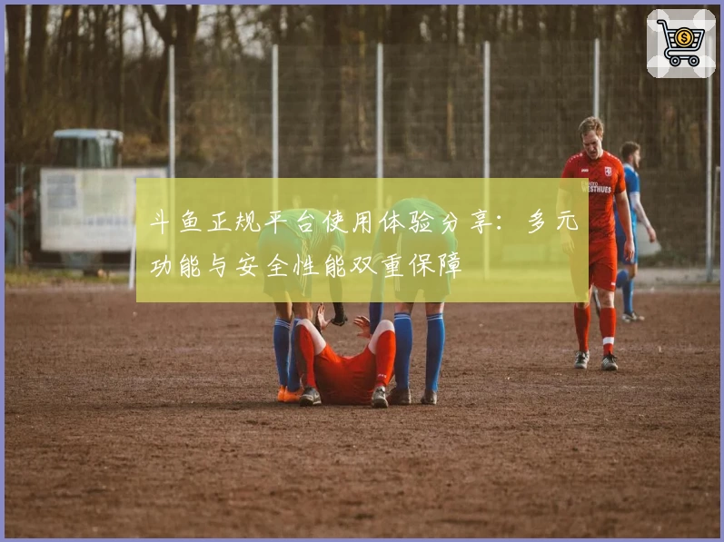 斗鱼正规平台使用体验分享：多元功能与安全性能双重保障