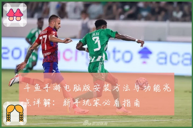 斗鱼手游电脑版安装方法与功能亮点详解：新手玩家必看指南