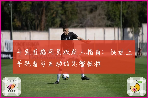 斗鱼直播网页版新人指南：快速上手观看与互动的完整教程