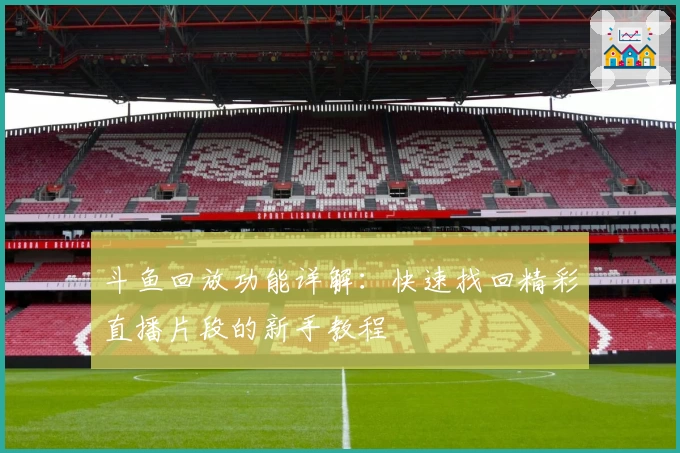 斗鱼回放功能详解：快速找回精彩直播片段的新手教程