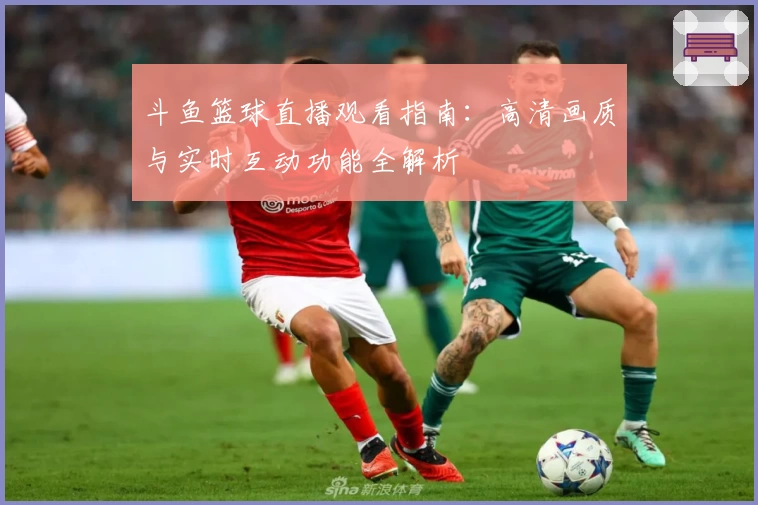 斗鱼篮球直播观看指南：高清画质与实时互动功能全解析