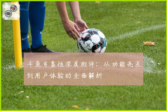 斗鱼可靠性深度测评：从功能亮点到用户体验的全面解析