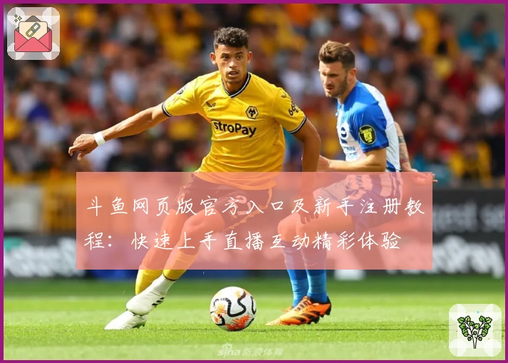 斗鱼网页版官方入口及新手注册教程：快速上手直播互动精彩体验